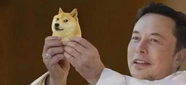 马斯克再次发推，狗狗币瞬间上上扬420%！的简单介绍